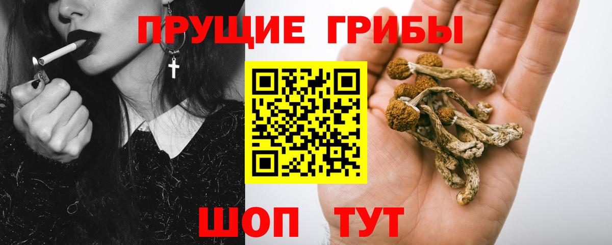 Псилоцибиновые грибы мухоморы  Псилоцибиновые грибы прущие грибы  Вход с VPN  Киселёвск 
