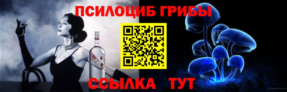 Псилоцибиновые грибы Psilocybe Киселёвск