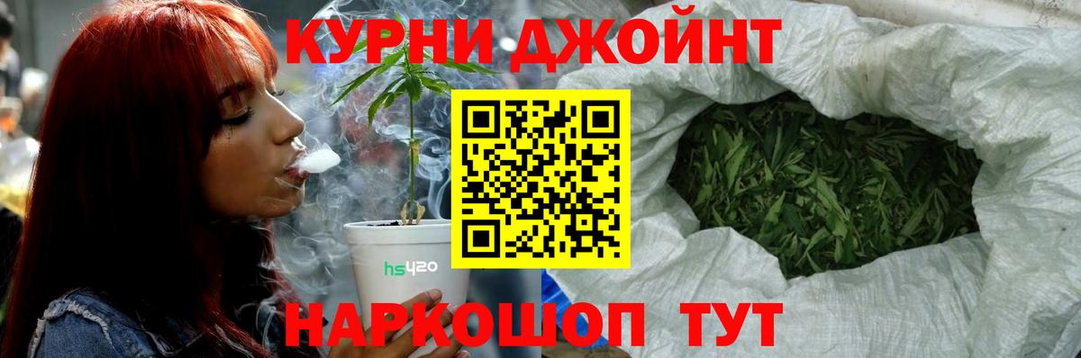 Бошки Шишки планчик Киселёвск